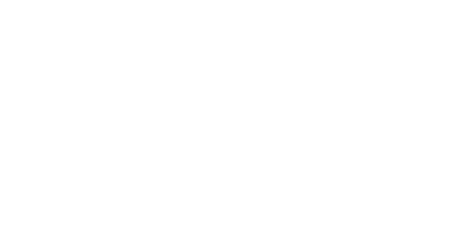 Third Street Partners